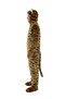 Tiger Costume Adult - 2