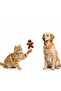 Sound Biscuit Man Biting Toy