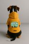 Printed Inside Fleece Dog and Cat Clothing & Dress - Yellow Color K Hooded Hoodie B7399