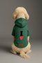 Printed Dog and Cat Clothing & Dress with Fleece Inside - Green Color K Hooded Hoodie B60B1