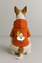 Printed Dog and Cat Clothing & Dress with Fleece Inside - Orange Color K Hooded Hoodie B1452 - 2