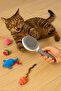 Pet Brush with Automatic Cleaning Cat Dog Hair Collector Comb - 2