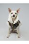 Zippered Fur Leather Dog Outfit Brown Medium