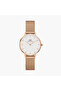 Daniel Welington Women's 28MM Gold Analog Stainless Steel Strap Watch | DW00100219