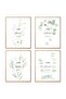 ALAYRA Motivational Botanical Plants Set of 4 30x40 cm With Outer Frame Wall Art Prints Canvas