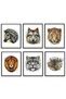 ALAYRA Wild Animal Wall Art Prints Poster Animal Wall Decor Set of 6 Wildlife Animal Wall Pictures for Living Room Home Office Decor 8"x10" UNFRAMED - Deer, Wolf, Snow Leopard,20X25 CM