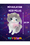 Meowing Cat Plush Toy – Cute Children's Toy with Sound - 2