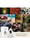 Tiara Midnight Bloom Starter Set, Luxe White Cordless Diffuser with Fragrance Pod - 7