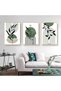 ALAYRA Modern Aesthetic Plant Pictures, Boho Decorative Pictures, Natural Landscape Poster, Abstract Art Deco Poster Set - No Frame (3 Pieces, , Poster-06)40X60 CM