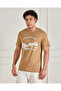 Men Beige Basic Graphic T-Shirt
