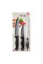 Knife Set 3Pcs - 3