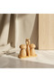 Premium Bamboo 2-Piece Spice Rack / Salt Shaker Natural Water Resistant - 2
