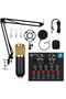 YU WELL 11 Piece Broadcasting And Recording Condenser Microphone Kit
