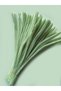 100 Pieces of Island Tea Green Chenille, Fuzzy Wire Suitable for Flower Making, 30 cm 6 mm - 2