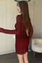 Mock Neck Lined Mini Lace Burgundy Dress - 6