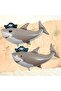 Pirate Shark Themed 3Rd Birthday Balloon Set & Happy Birthday Banner - 4
