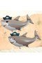 Pirate Shark Themed 4Th Birthday Balloon Set & Happy Birthday Banner & Curtain Set - 4