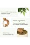 120-180cm Artificial Tree with Lifelike Leaves for Indoor/Outdoor Home & Office Decor - Perfect Gift - 5