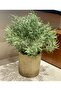 Cobalt Ilı Artificial Mountain Thyme - Decorative Cobalt I Plant with Natural Look - 18X13 cm - 5