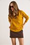 Women's Mustard V-Neck Soft Textured Knitwear Sweater Kzk-19000598 - 2
