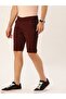 The Indian Garage Co Slim Fit Burgundy Solid Shorts - 3