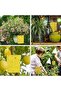Yellow Sticky Fly Traps - 3