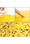 Yellow Sticky Fly Traps - 4