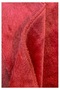 Warm Embrase Red New Year's Blanket Double Size 200X230 cm Plush Soft Surface - 4