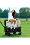 OneDcor Wagon Cart Foldable Collapsible 100L - Heavy Duty Large Capacity Utility Beach Wagon - 3