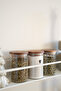 Love Mini 3-Piece Acacia Vacuum Lid Borosilicate Glass Spice Jar Set (250 ml) - 3