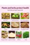 Maca Black Maca Root & Dong Quai Extract, Gluteus Boost Vitamins for Women, Fruit Flavor, 60 Count - 3