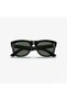 WAYFARER REVERSE - 2