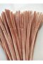 100 Pieces of Champagne Color Chenille, Feathered Wire Suitable for Flower Making, 30 cm 6 mm - 2