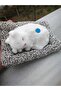 Cat with a Voice That Sleeps Less - 3