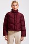 Women's Mock Neck Low Arm Long Arm Woven Coat Functional Durable Quality Comfortable Sports - 5