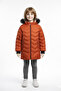 Plush Hooded Fur Coat