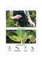 Star D-Prime RTU Organic Fungicide 500ml - 2