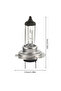 10PCS Halogen Headlight Bulb Super Warm White Light H7 55W 12V Bulb Headlight Halogen Lamp Car H... - 6