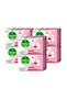 Skincare Antibacterial Bar Soap Enriched With Moisturizers, 100percent Germ protection- 6X70g