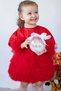 Baby Girl Kids Dress Long Sleeve Tulle Tutu Special Occasion Party Birthday Princess Silvery Christmas Dress - 4