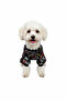 Cat-Dog Outfit with Guitar Pattern - Small Breed