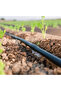 Drip Irrigation 16 mm Irrigation Pipe Without Hole (50 Meters) - 2