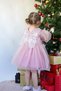 Baby Girl Children's Long Sleeve Winged Birthday Party Wedding Special Day Tulle Tutu Lined Princess Dress