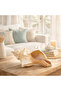 Natural Sea Shell Collection – Large Decorative Seashells for Home Decor, Beach Theme Decorations