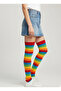 Rainbow Patterned Striped Women's Over-The-Knee Socks - 4