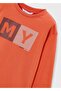 Boy's Basic Long Sleeve Printed T-Shirt - 3