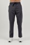 Sportswear Men's Sweatpants Titanium