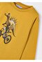 Boy's Long Sleeve Tshirt - 4