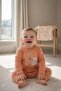Baby & Kids 100% Cotton 2-Piece Sweatshirt Set Orange Teddy Bear Printed 3-18 Months - 2