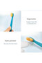 Hygienic Kids Toothbrush Holder with Suction Cups - 6